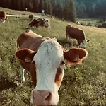 Stubihuettn Sonnenalpe Nassfeld