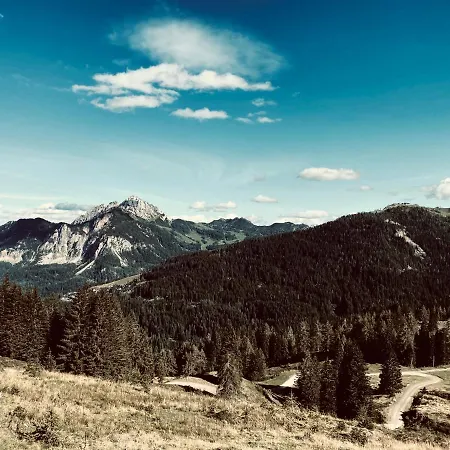 公寓 Stubihuettn 索内纳尔佩·纳斯费尔德