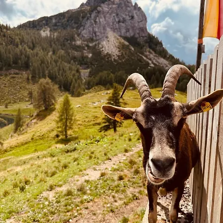 公寓 Stubihuettn *