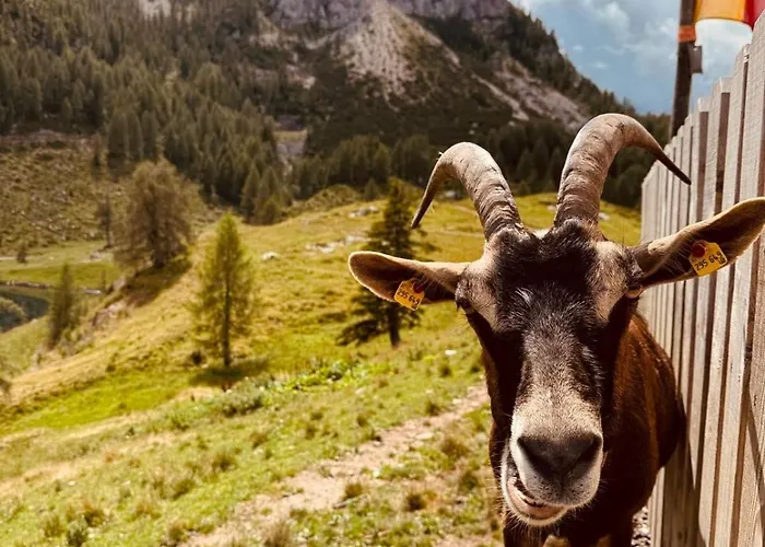 Apartman Stubihuettn *